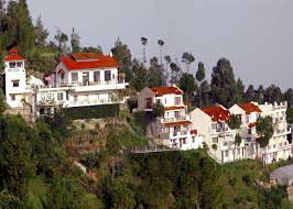 Woodsvilla Resort 